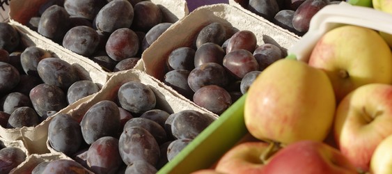 Obst vom Bodensee