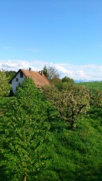 Haus  Schleinseeblick in Kressbronn - Bild 8 - Ferienwohnung Bodensee